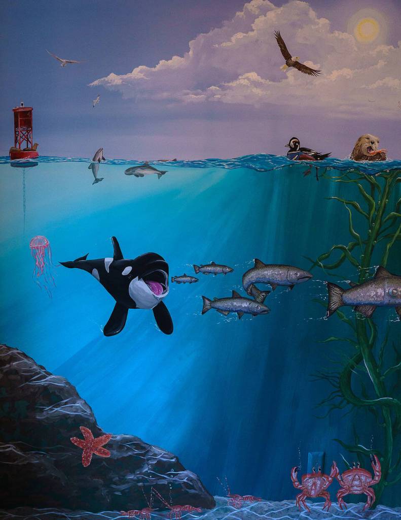 A mural containing the marine wildlife of the Salish Sea is the first thing one sees when entering South Whidbey resident John Knowltons home. From a hungry orca licking its chops to a pod of smiling porpoises to a harlequin duck, there are plenty of details that catch the eye.