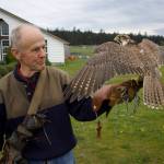 Photo by Rachel Rosen/Whidbey News-Times
Steve Layman will be giving a presentation on raptors this Saturday at the Pacific Rim Institute in Coupeville.