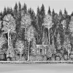 Illustration by Caroll Simpson