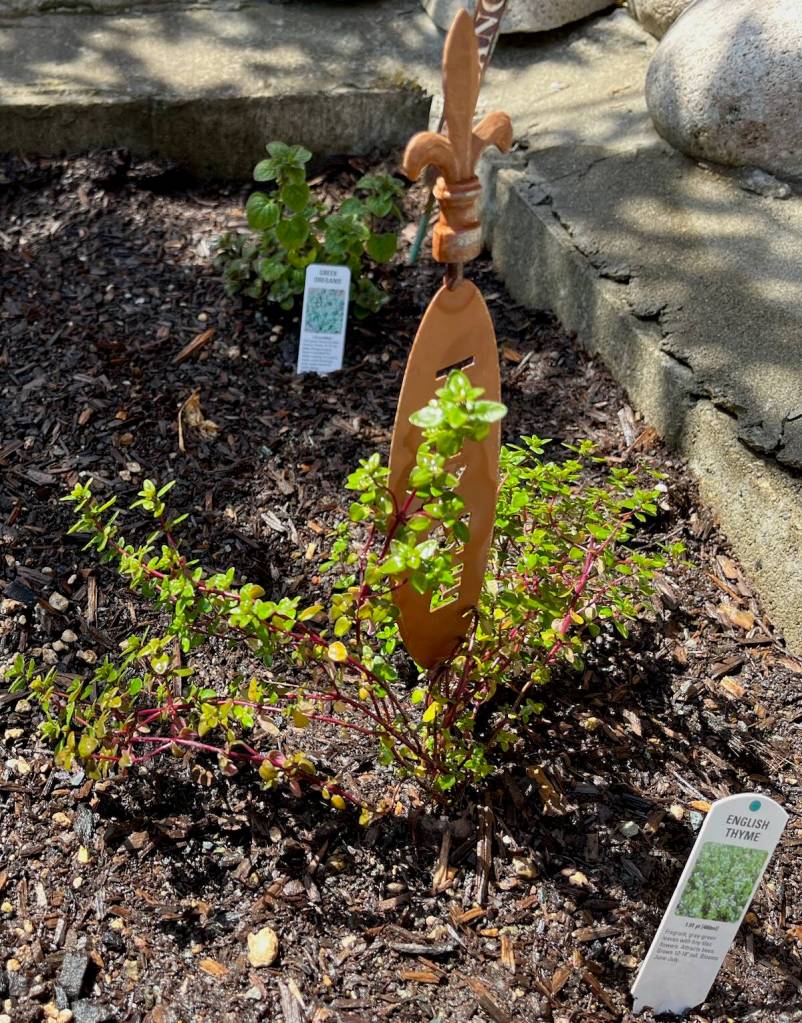 Photo by Harry Anderson