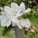 Photo by Harry Anderson