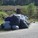 Photo by Rachel Rosen/Whidbey News-Times