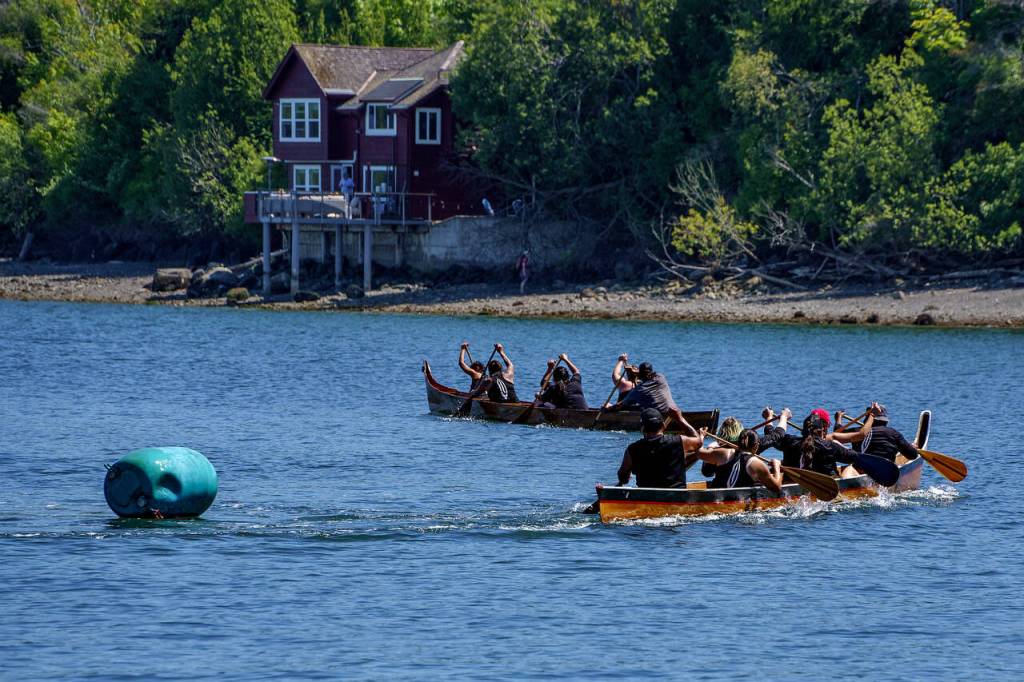 Photo by David Welton
Members of various Coast Salish tribes participate in canoe races at the Penn Cove Water Festival May 13. This years festival was the first since the beginning of the COVID-19 pandemic to hold the traditional canoe races.