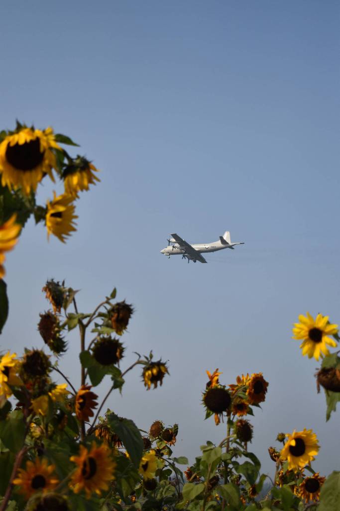 Photo by Roann Barrera