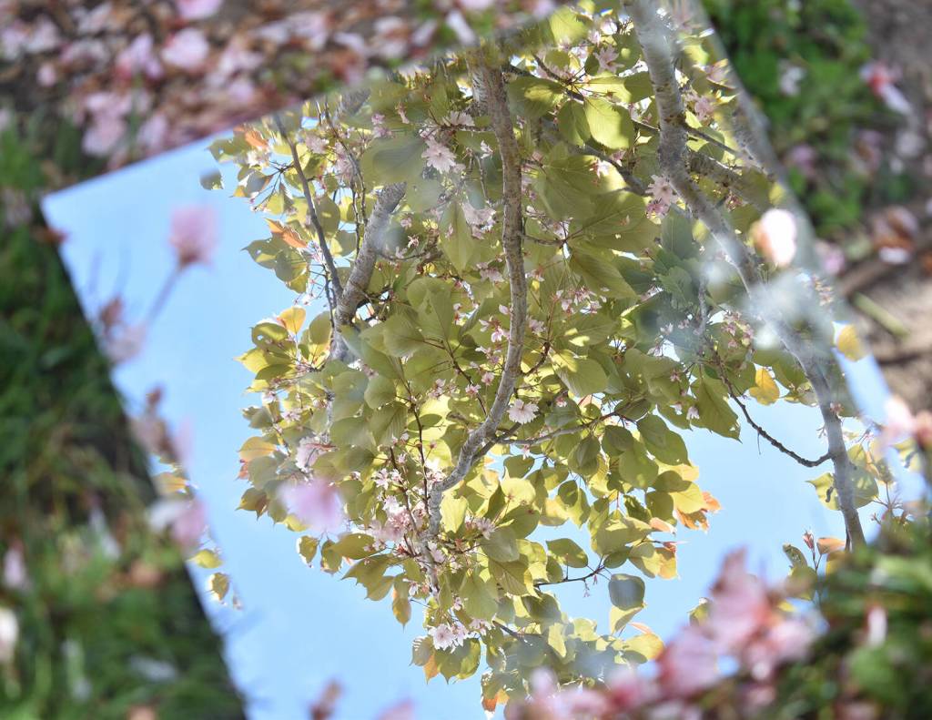 Photo by Laurianna Newcomb