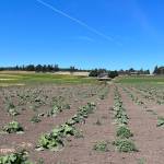 Photo by Harry Anderson