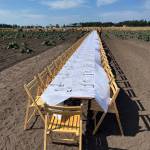 Photo by Harry Anderson