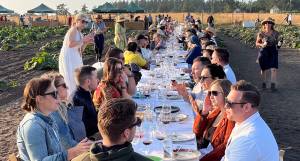 Photo by Harry Anderson