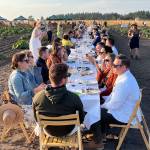 Photo by Harry Anderson