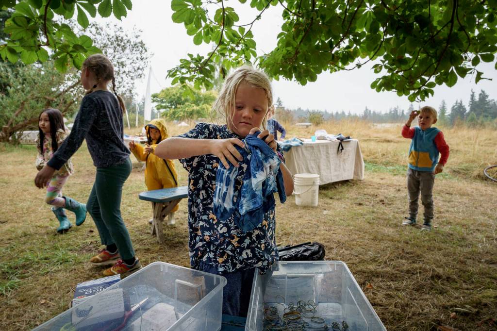 Photo by David Welton
6-year-old Saoirse Dunham of Langley unfurls a tie-dyed shirt at Green Arts Camp Aug. 9.