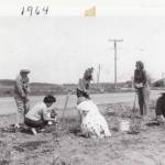 Oak Harbor Garden Club members work on a roadside beautification project in 1964. (Photo provided)