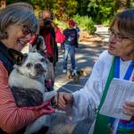 Rev. Jenny Cleveland of St. Augustines-in-the-Woods Episcopal Church blesses Isabella the dog, owned by Donna Wilson, during the annual Blessing of the Animals in celebration of St. Francis of Assisi, the patron saint of animals. (Photo by David Welton)