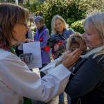 Photo by David Welton