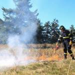 A firefighter sets the prairie on fire. (Photo by Luisa Loi/Whidbey News-Times)