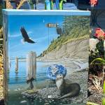 Between Tides by Rob Schouten. (Photo provided)