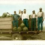 Photo provided
A group of men pose with a load of sugar Hubbard squash more than 60 years ago. On the far right, Wilbur Sherman, Edwin Sherman's brother.