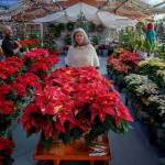 Maureen Murphy is the founder of Bayview Garden, which celebrated its 30th anniversary this year. The South Whidbey garden center is known for its annual Holiday House. (Photo by David Welton)