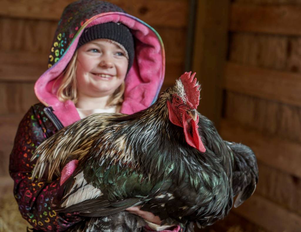 Photo by David Welton