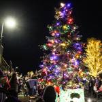 The lighting of the Christmas tree in Downtown Oak Harbor. (Photo by Luisa Loi)