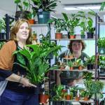 Geneva Blackmer and her daughter, Tanzi, at right, have always collected and taken care of house plants as a hobby. Now, they turned their passion into a business. (Photo by Luisa Loi)