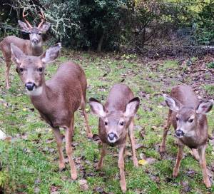 Photo by Diane Jhueck