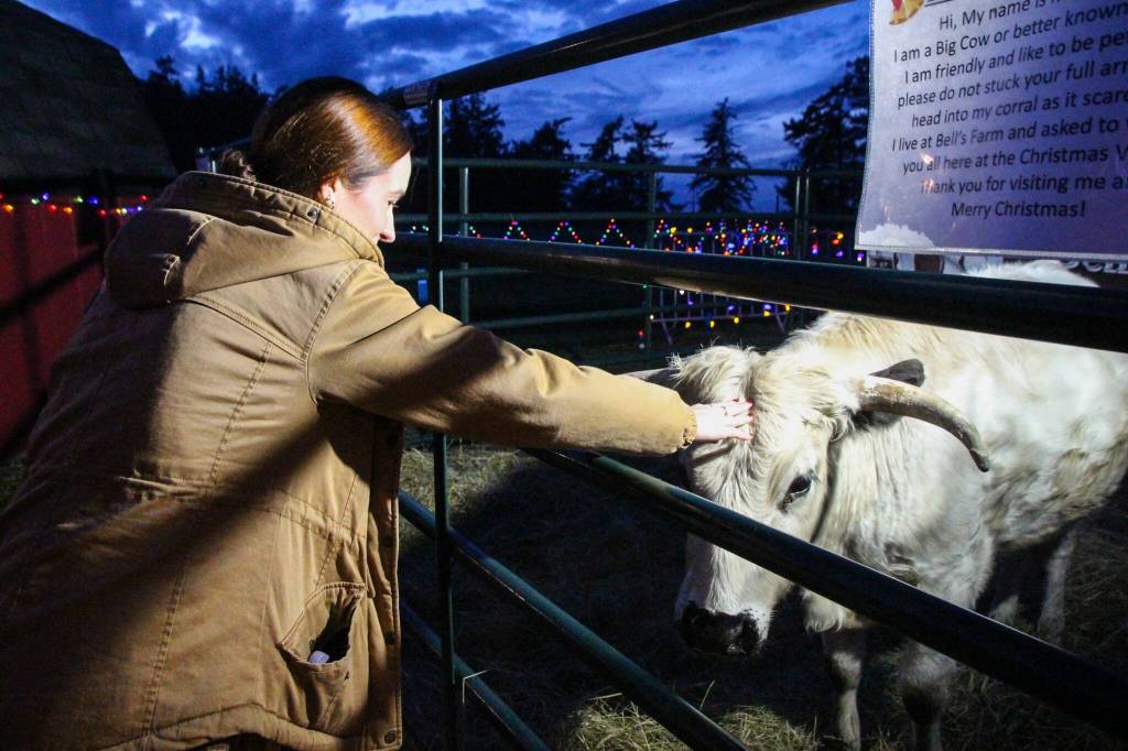 Brynn Brudge bonds with Moo Radley at the Christmas Village. (Photo by Luisa Loi)