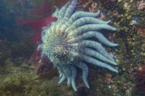 Photo by Tabitha Jacobs-Mangiafico