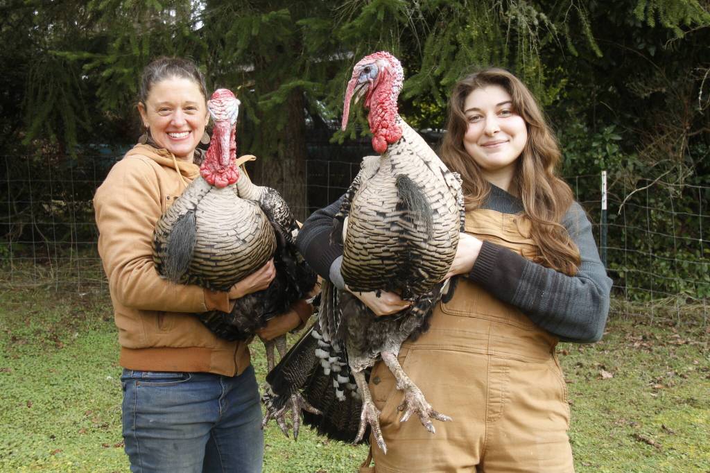 Jenny Goff, left, and Heather Talley are the farmers and creators behind Thankful Harvest, a childrens book about raising and harvesting turkeys. (Photo by Kira Erickson/South Whidbey Record)