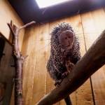 Photo by Sam Fletcher