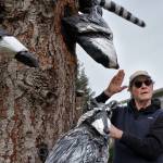 The latest sculpture by Pat McVay tells the story of a raccoon family. (Photo by David Welton)