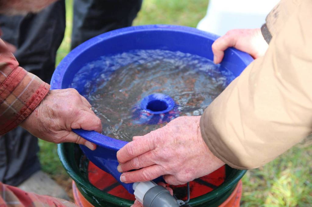 After collecting samples from the beach at Keystone Preserve, volunteers separated the 1-millimiter eggs from debris and sand using a funnel and a series of filters. (Photo by Luisa Loi)