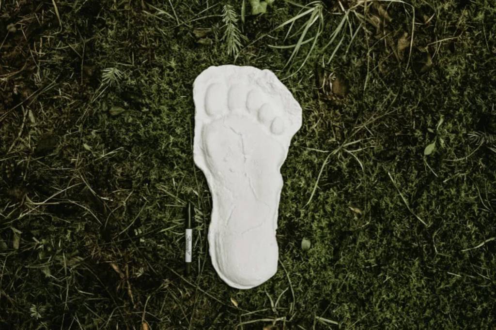 A track casting, taken in McCleary, WA, is positioned next to a marker for scale. (Photo by Sam Fletcher)