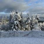 Photo by Cecelia Dance
South Whidbey resident Cecelia Dance took this photo Tuesday morning, near Baby Island.