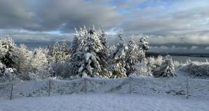 Photo by Cecelia Dance
South Whidbey resident Cecelia Dance took this photo Tuesday morning, near Baby Island.