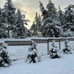 Photo by Cecelia Dance