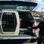 Whidbey Island animal control officer Tammy Esparza displays a kennel from the back of the animal control pick-up. (Photo by Sam Fletcher)
