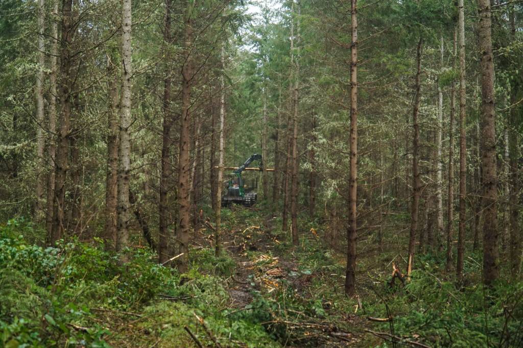 After the feller buncher, a forwarder comes along and collects the logs. (Photo by Sam Fletcher)