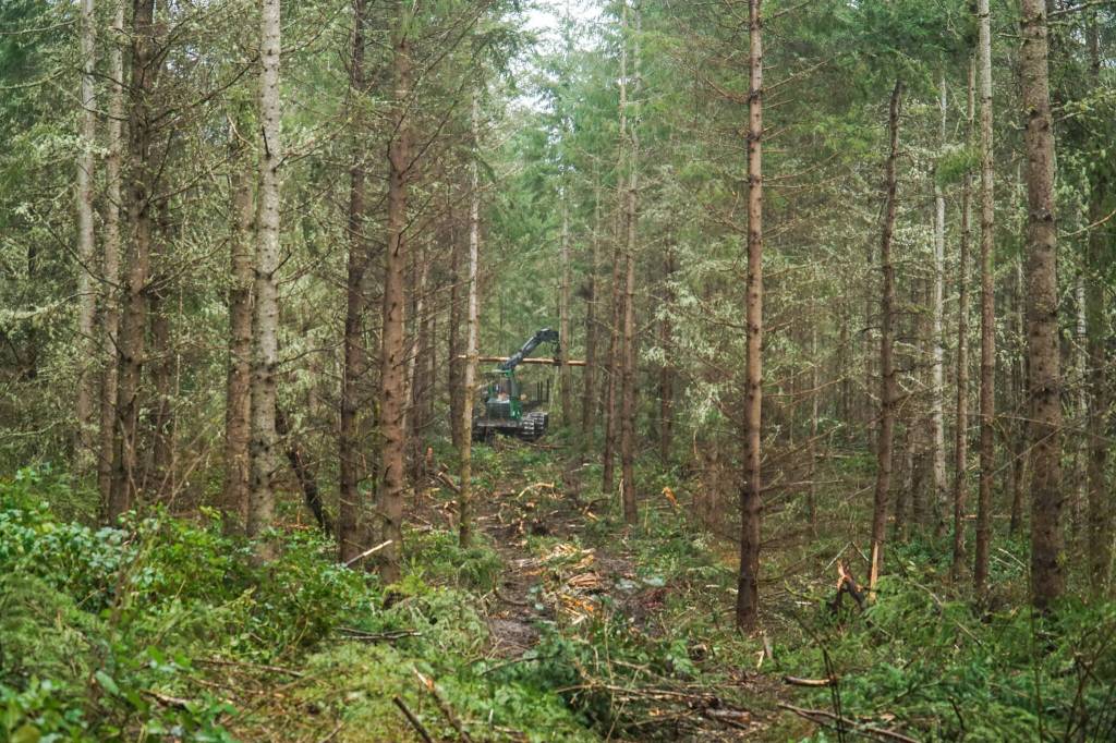 After the feller buncher, a forwarder comes along and collects the logs. (Photo by Sam Fletcher)