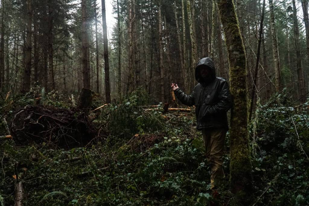 Whidney Camano Land Trust stewardship specialist Kyle Ostermick-Durkey gestures toward a thinned portion of the Trillium Community Forest on Tuesday. (Photo by Sam Fletcher)