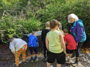 Photo courtesy of Whidbey Watershed Stewards
Candace Jordan and future watershed stewards inspect the wetlands.