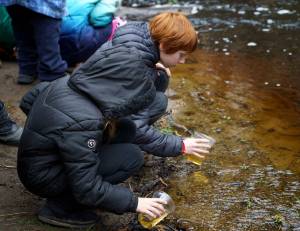 Photo by David Welton
South Whidbey Elementary School students release salmon into Maxwelton Creek in 2023.