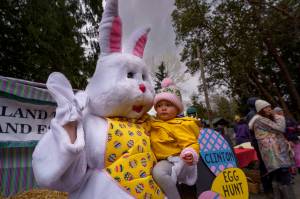Photo by David Welton
A toddler is suspicious of the Easter Bunny during last years egg hunt in Clinton.
