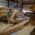 Bret Christensen sorts through a pile of wood in Whidbey Millhouse, the business he co-owns in Freeland with his son, Maverick. (Photo by David Welton)