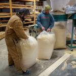 Whidbey Millhouse employees Brendan McHugh, left, and Gus Gordon handle 55-gallon bags of sawdust. (Photo by David Welton)