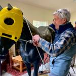 Whidbey horseman Jerry Lloyd demonstrates how to keep a horse safe at an Animal Advocates of Island County meeting on Thursday.