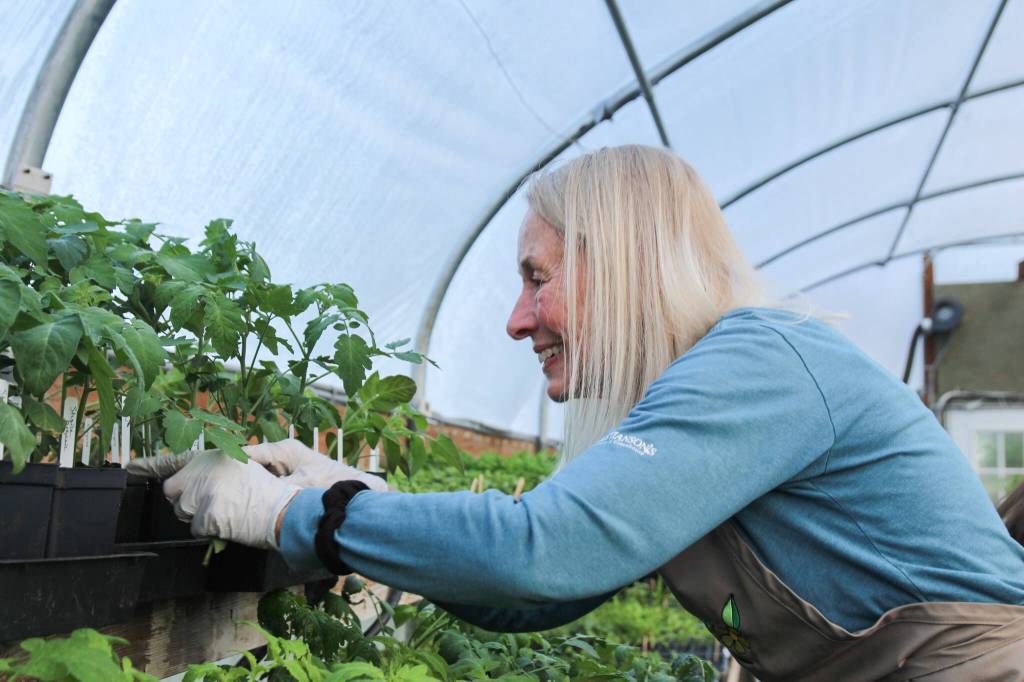 Marie Magee tends to some plants in the greenhouse. (Photo by Luisa Loi)