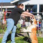 Photo by Luisa Loi
4-H Leader Danyall Benavides shows off some tricks mother and daughter duo Maree and Tsunami, which look almost identical, have learned.