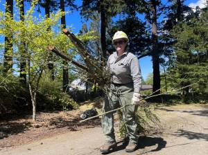 Photo by Sam Fletcher
Claire Seitzer-Jones, a Department of Natural Resources firefighter, clears potential fire hazards from the Pondilla Estates in Coupeville.