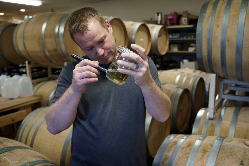 Photo by David Welton
Kyle ONeill checks the clarity of a sample of wine.