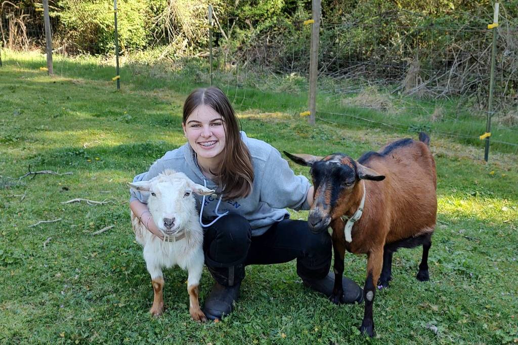 Photo provided
Whidbey Homesteaders 4-H club member Ava Stamatiou, 18, with goats Kona and Blackberry.